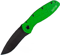 Kershaw 1670SPGRN Blur